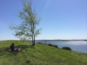 Spectacle Island on Mother's Day, 2014