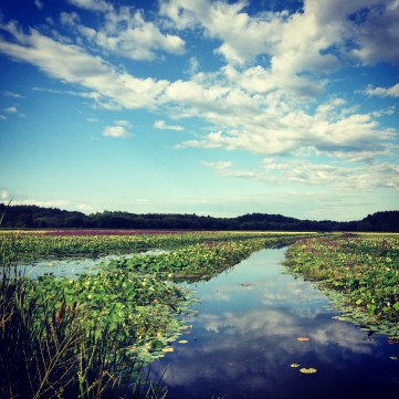 Great Meadows Nature Conservatory